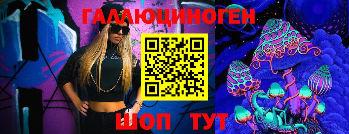 Галлюциногенные грибы Psilocybe Бердск