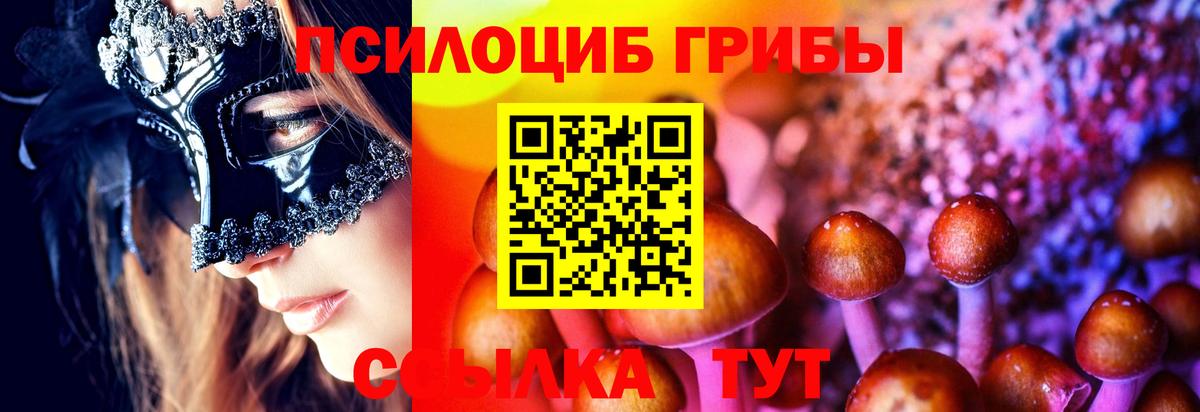 Бердск  Псилоцибиновые грибы MAGIC MUSHROOMS  Вход с VPN  Галлюциногенные грибы MAGIC MUSHROOMS 