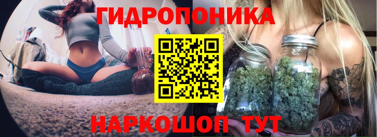 Бошки Шишки AK-47  Бошки марихуана ГИДРОПОН  Вход с VPN  Бошки Шишки MAZAR  Бердск  Бошки марихуана SATIVA & INDICA 